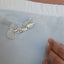   Sea Diver, broche de plata